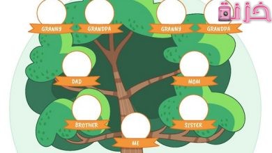 معرفة شجرة العائلة بالرقم القومى فى مصر
