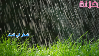 المطر في المنام