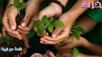 اذاعة عن البيئة