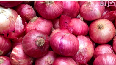 رؤية البصل في المنام