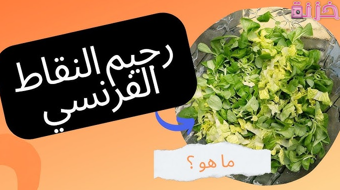 رجيم النقاط الفرنسي