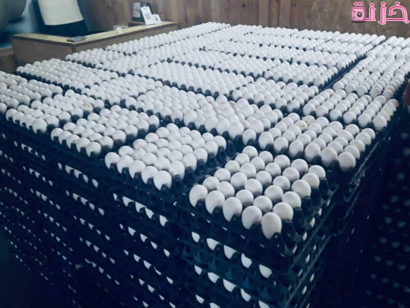 مشروع انتاج البيض