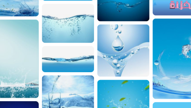 بحث عن الماء