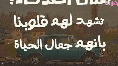 بوستات عن الصحاب