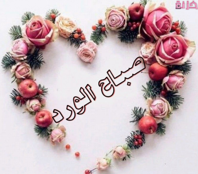 بوستات صباح الورد