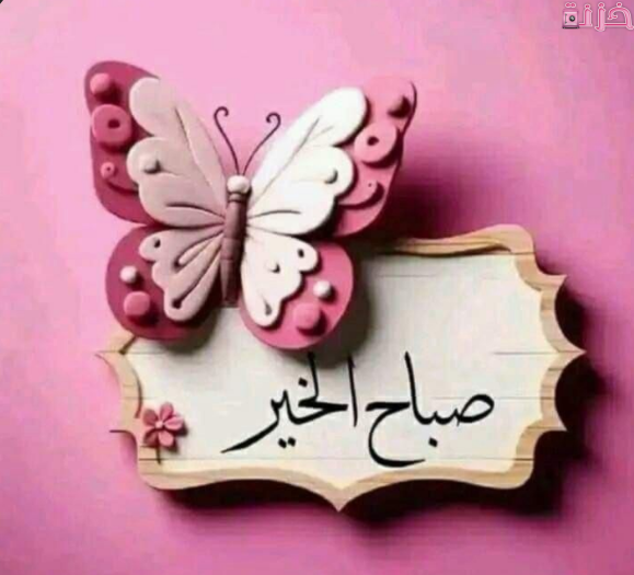 بوستات صباح الخير فراشة