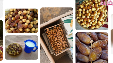 البلح في المنام