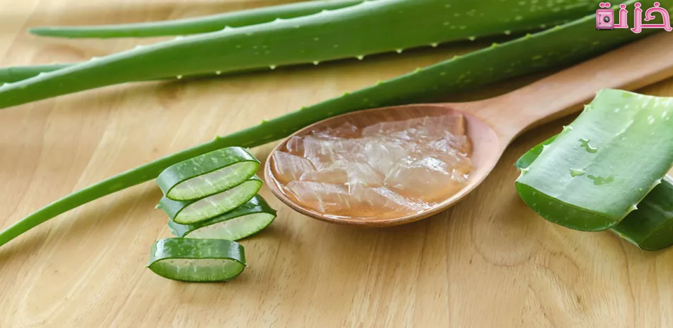 فوائد الصبار للشعر