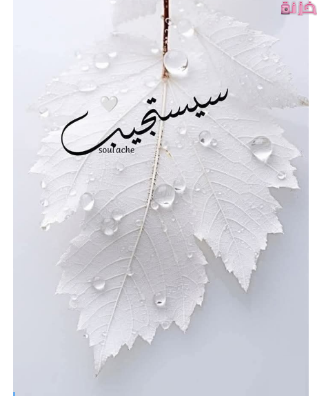 صور فيسبوك للملف الشخصي