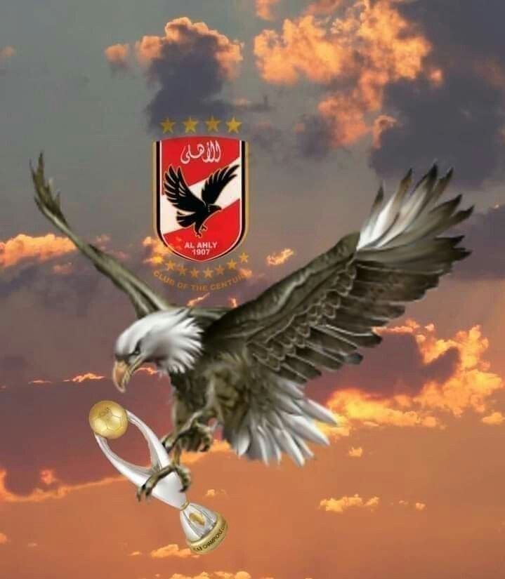 خلفيات نسر الاهلي