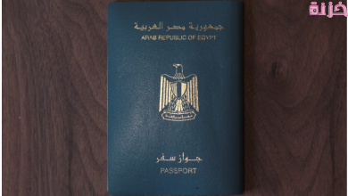 ما معنى نوع جواز السفر P المصري