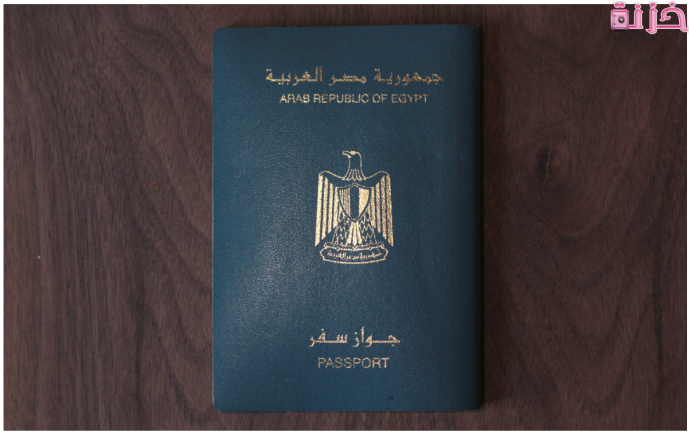 ما معنى نوع جواز السفر P المصري