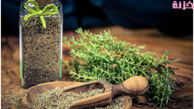 فوائد الزعتر