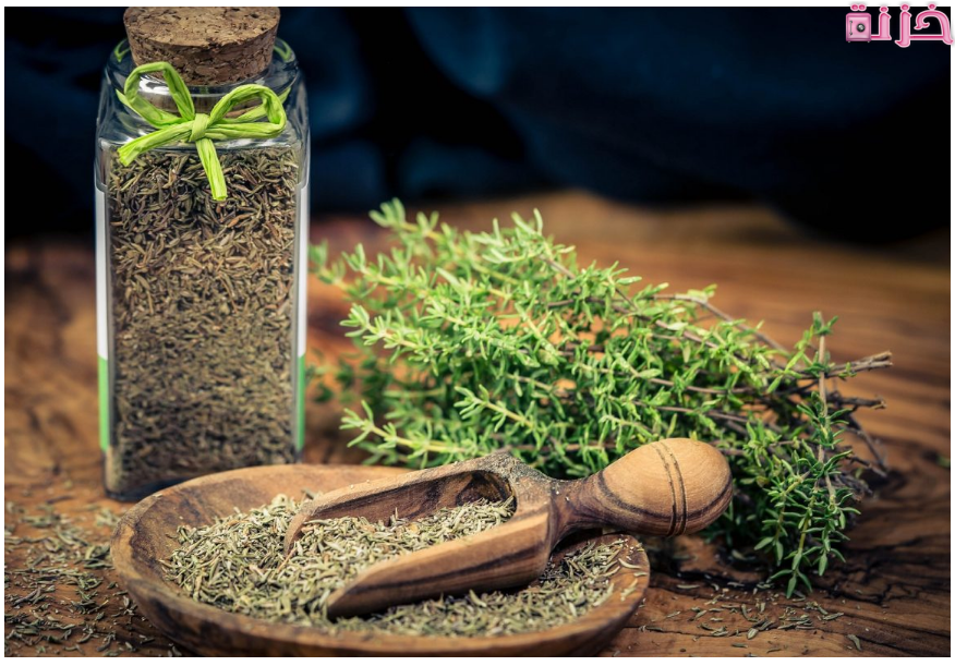 فوائد الزعتر