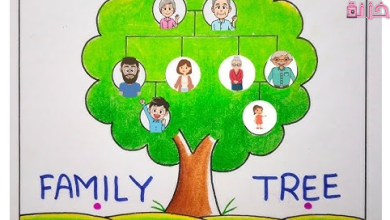 كيفية استخراج شجرة العائلة من دار الوثائق