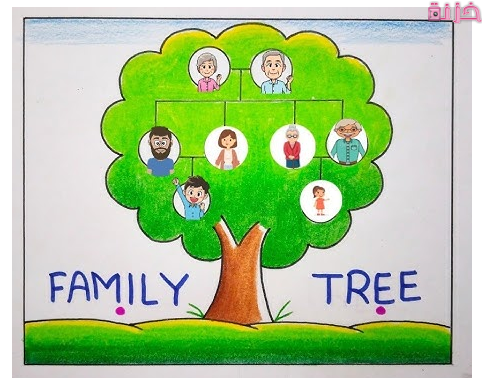 كيفية استخراج شجرة العائلة من دار الوثائق