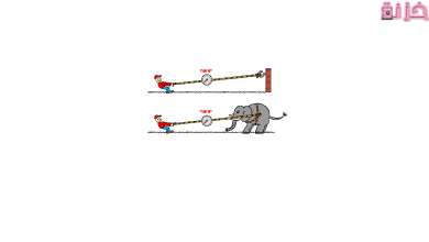 قانون نيوتن الثالث