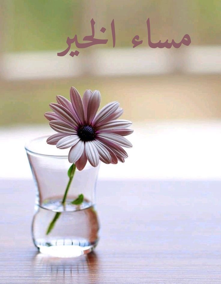 صور مساء الخير جديدة