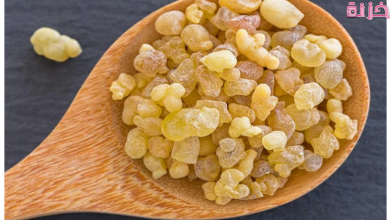 فوائد لبان الدكر