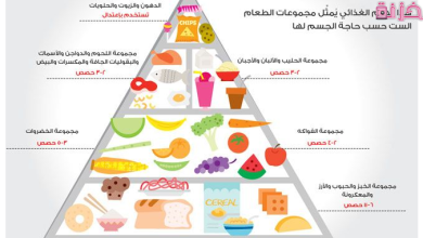 الهرم الغذائي