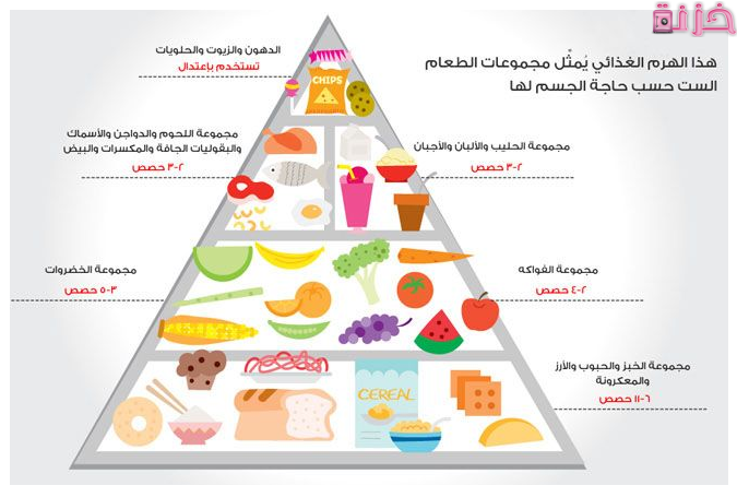الهرم الغذائي