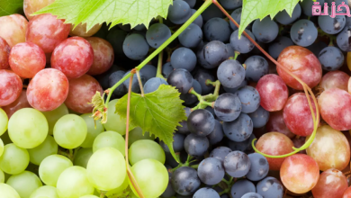 فوائد العنب للبشرة والشعر