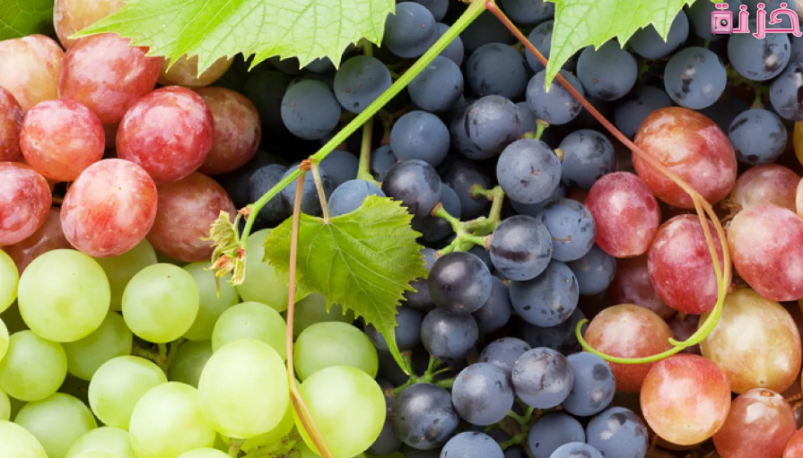 فوائد العنب للبشرة والشعر