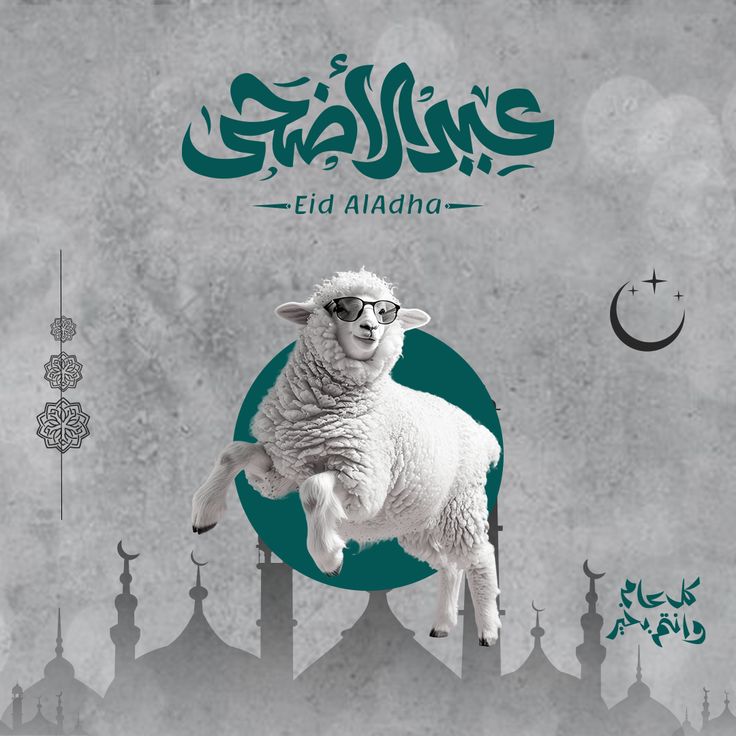 صور خروف العيد