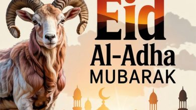 صور خروف عيد الاضحى