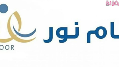 نظام نور ولي الأمر