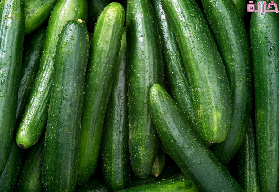 فوائد الخيار