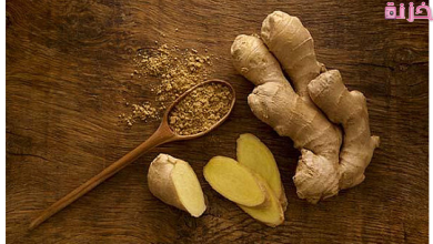 اضرار الزنجبيل