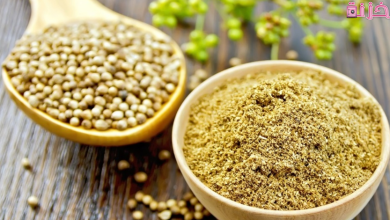 فوائد الكزبرة الناشفة للتخسيس