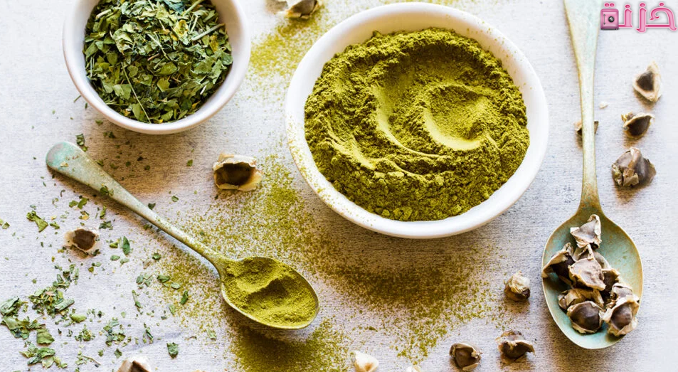 فوائد عشبة المورينجا