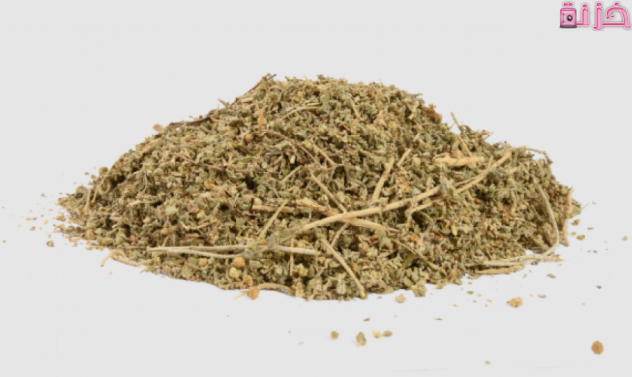 فوائد الشيح