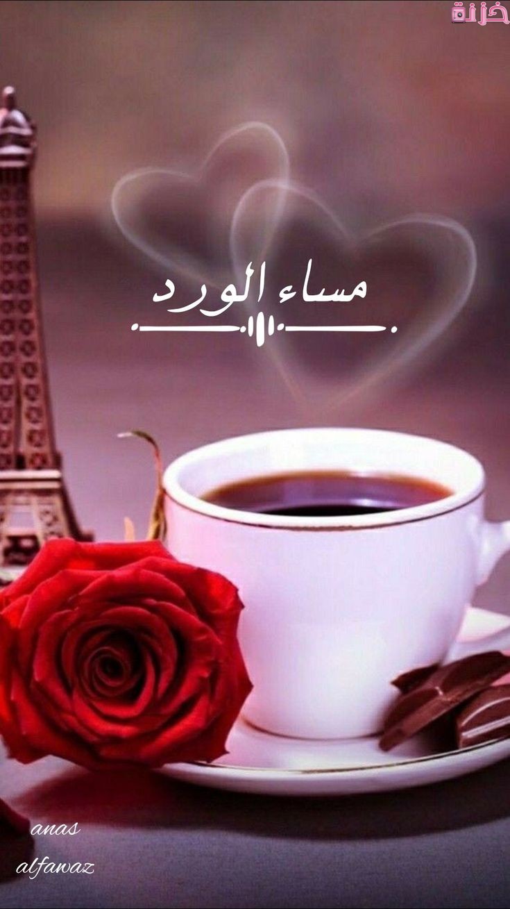 صور مساء الورد والجمال