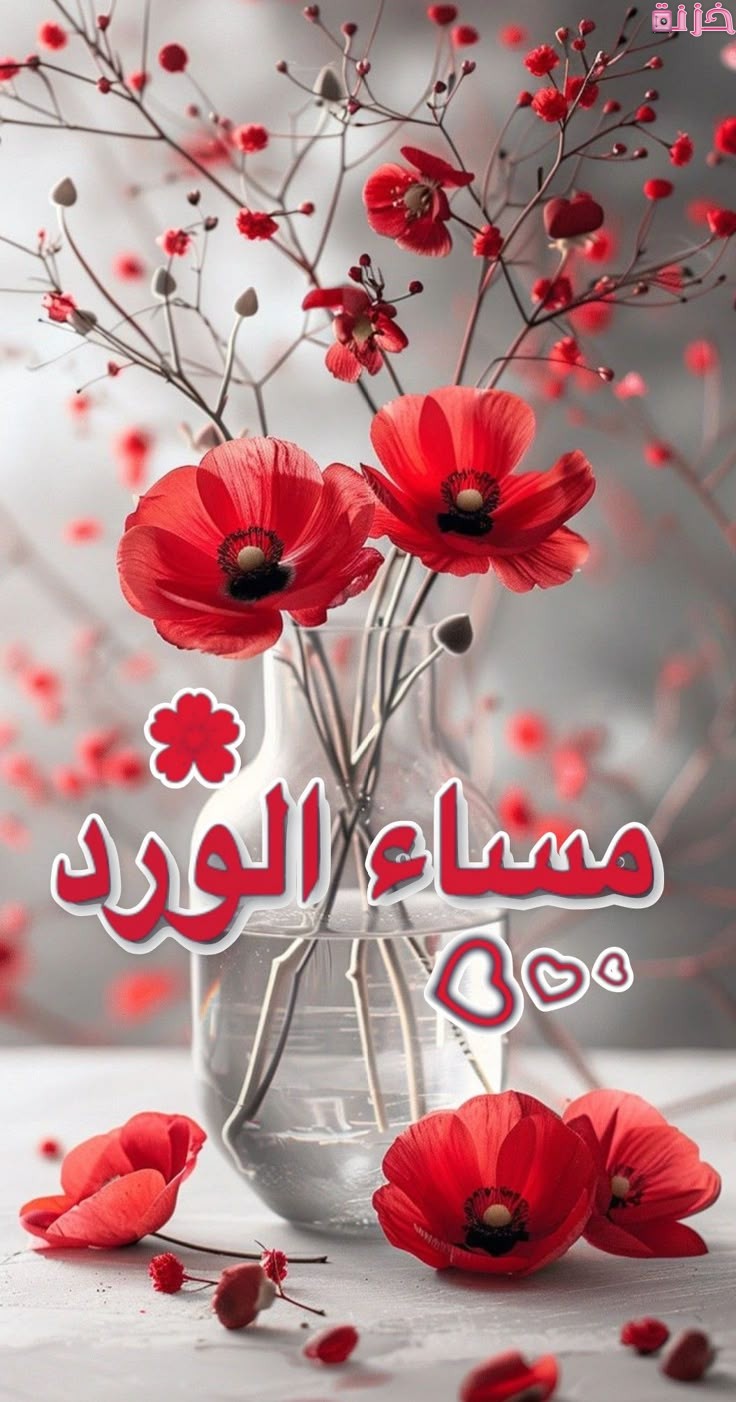 صور مكتوب فيها مساء الورد والياسمين