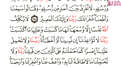 خواتيم سورة البقرة مكتوبة بالتشكيل وفضلها