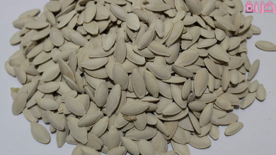 تفسير اللب الأبيض في المنام