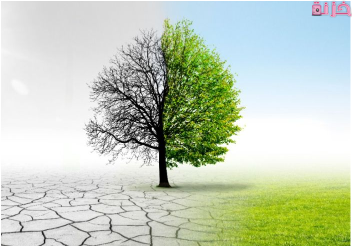 تأثير تغير المناخ على البيئة والنباتات الحيوانات والاقتصاد