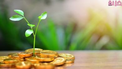 أفضل استثمار في مصر