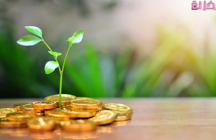 أفضل استثمار في مصر