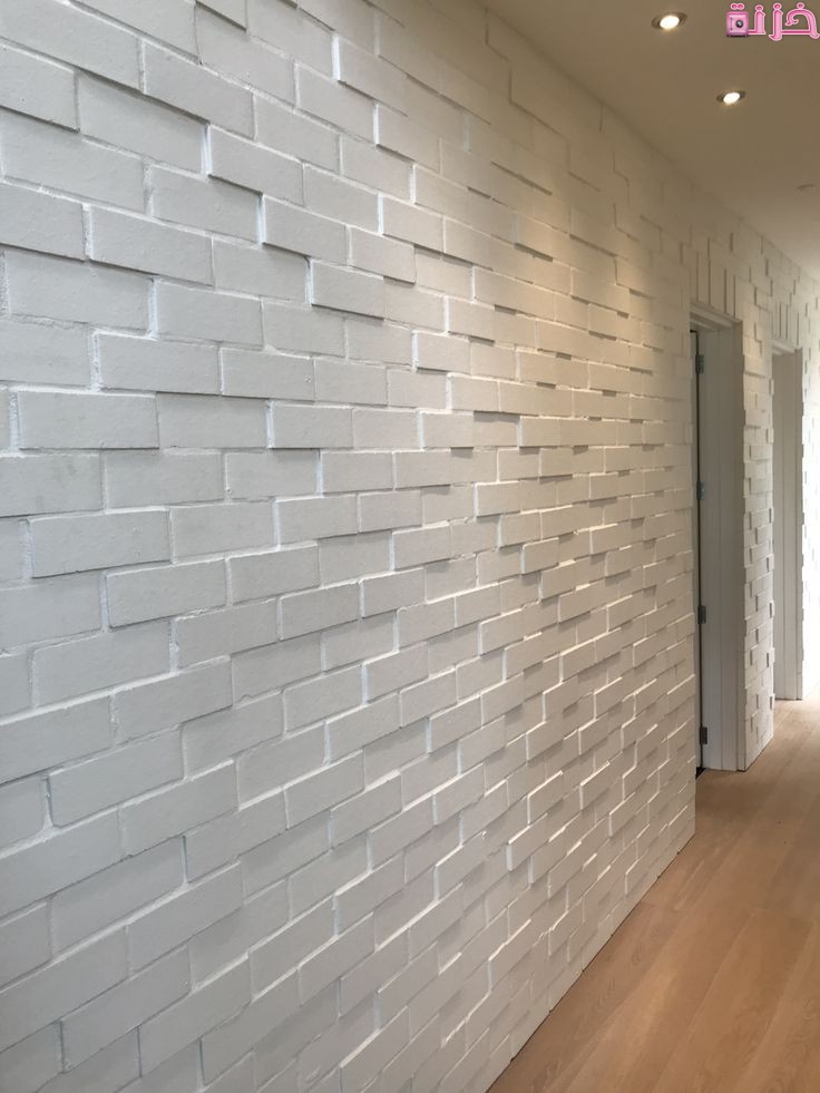 أشكال الفوم الحجري