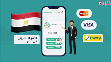 أفضل شركات الدفع الإلكتروني في مصر