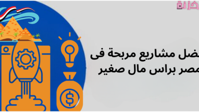 مشاريع مربحة في مصر