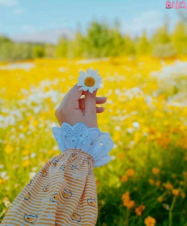 صور بروفايل بنات انستقرام