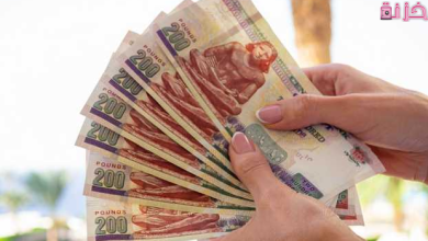 اعلى فائدة بنكية فى مصر اليوم