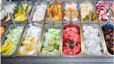 دراسة جدوى مشروع محل أيس كريم