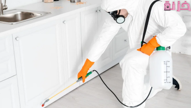 شروط الترخيص وتكلفة مشروع شركة مكافحة حشرات