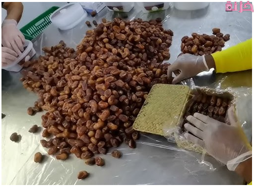 دليل عناوين وأرقام مصانع تعبئة التمور في مصر